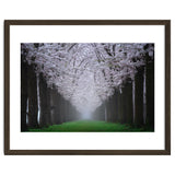 Cherry trees in the fog thumbnail