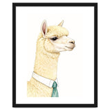 Alpaca thumbnail