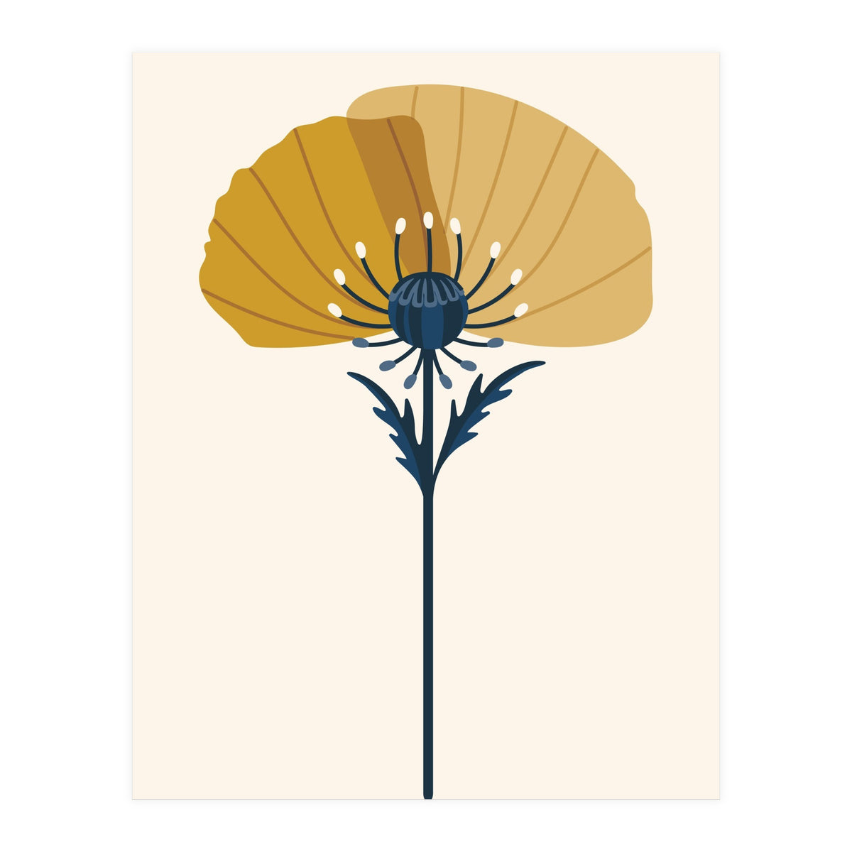 Ochre Half Poppy (Print Only)