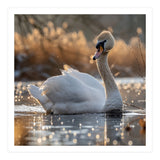 Majestic Swan On Calm Water During Sunset Nature Scene (Print Only) thumbnail