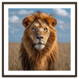 Majestic Lion In African Savanna Under Blue Sky thumbnail