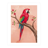 Red Macaw Parrot Bird Forest (Print Only) thumbnail