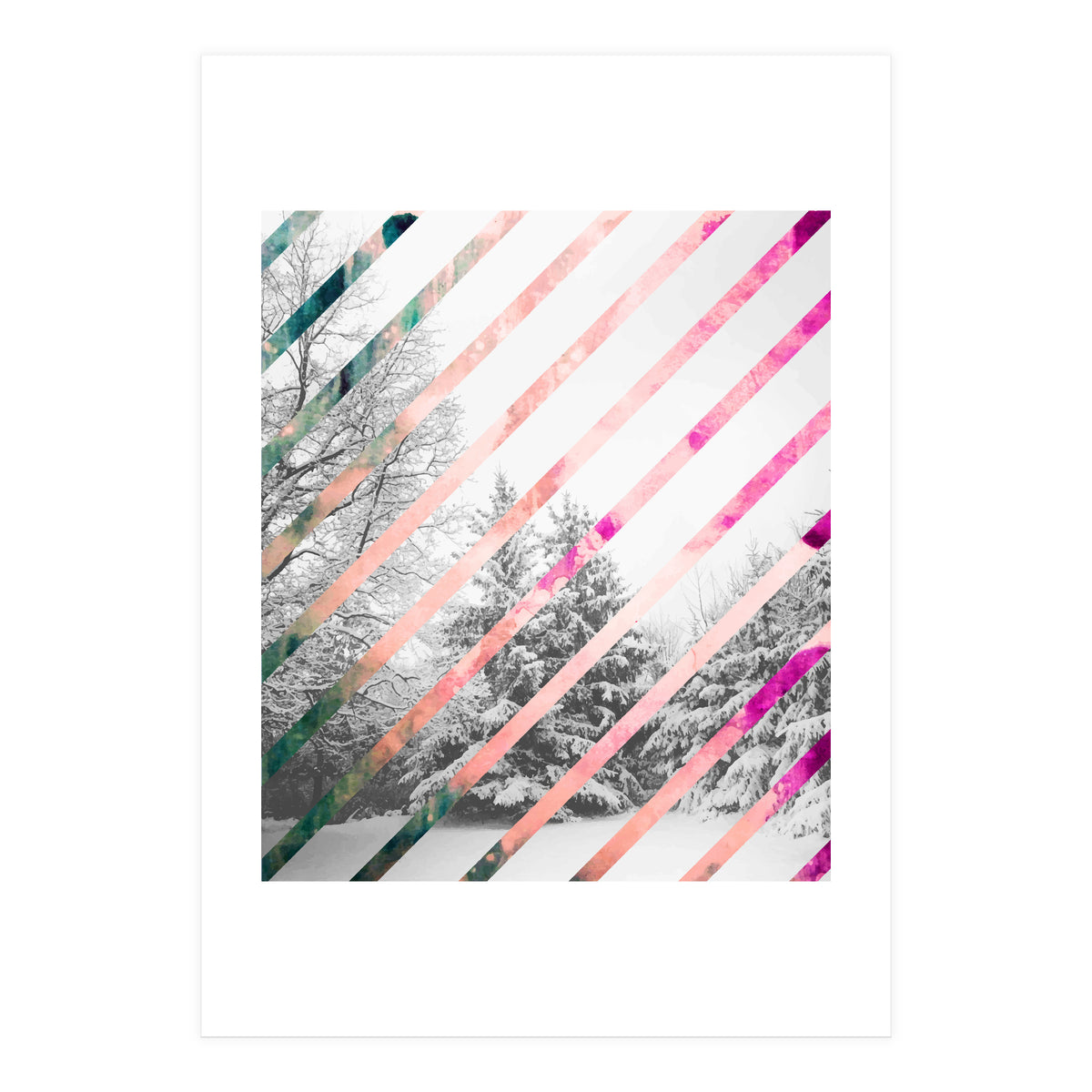 Snow Angel (Print Only)