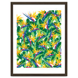 Summer Strelitzia thumbnail