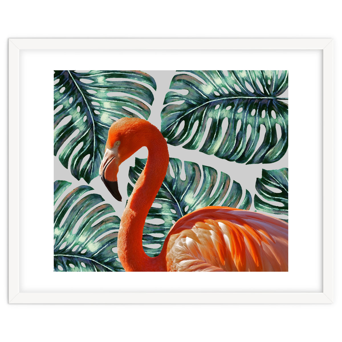 Flamingo Self Portrait