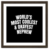 World's most coolest and okayest nephew thumbnail