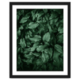 New Foliage Green Ii thumbnail
