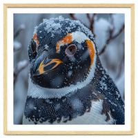 Penguin In Snow Falling Close Up Portrait