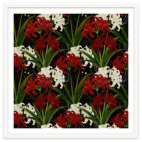 Red and White Spider Lily Flower Print Elegant Botanical Japanese Inspired Floral Artwork