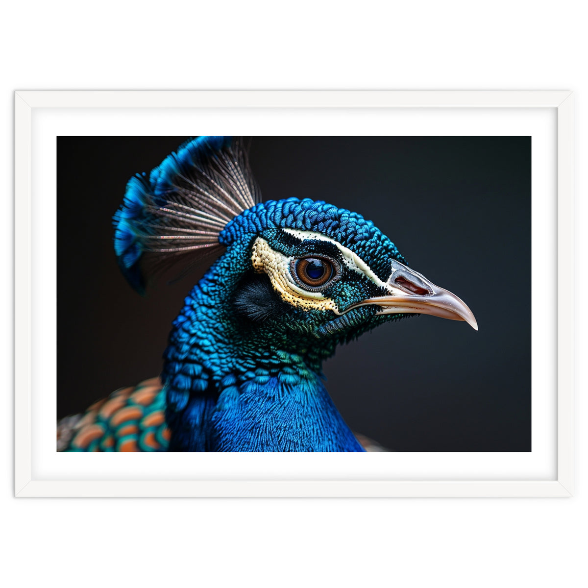 Close Up Peacock Head Blue Green Feather