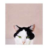 Up To No Good (Print Only) thumbnail