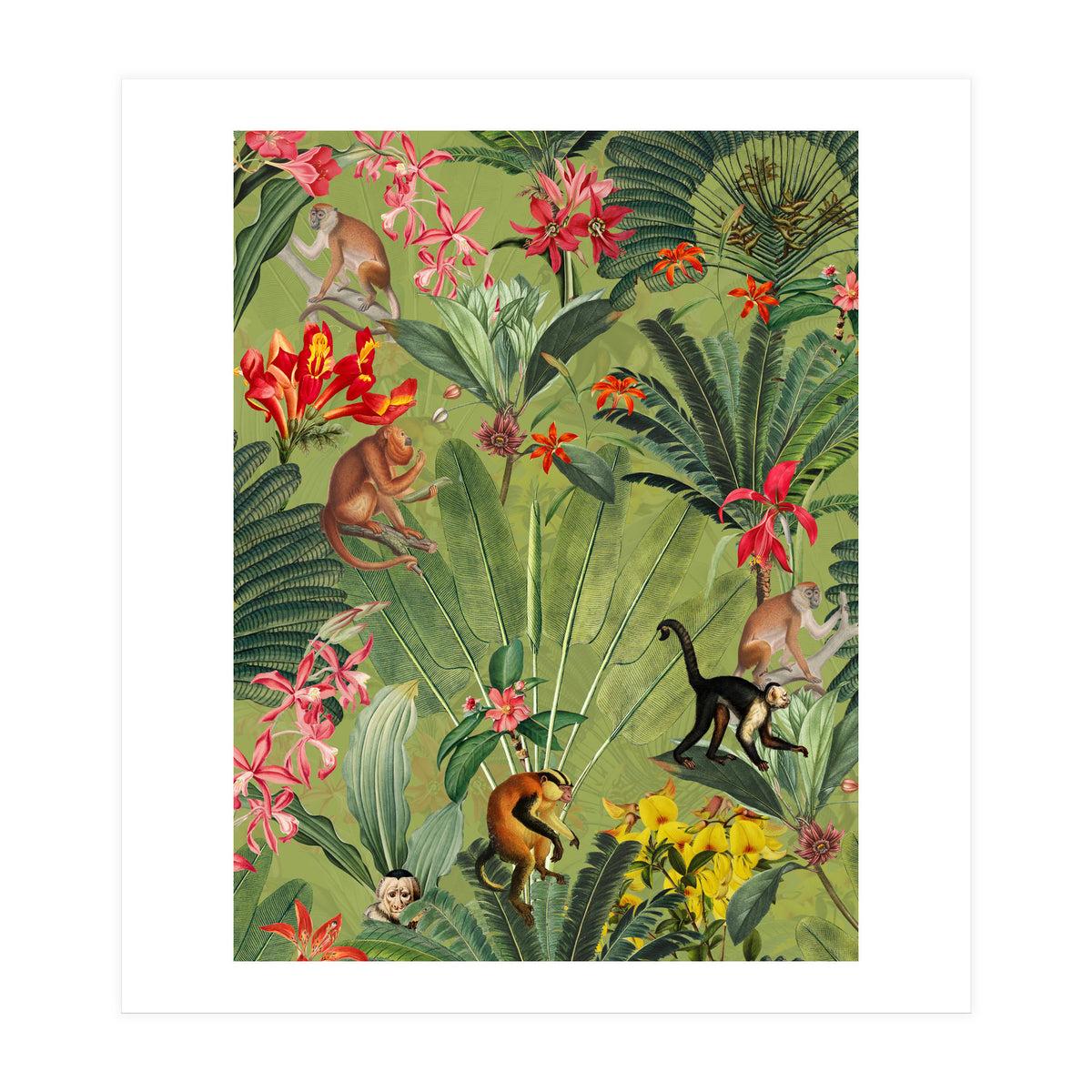 Monkeys In Tropical Jungle Paradise (Print Only)