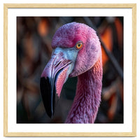 Close Up Of A Pink Flamingo Bird Face