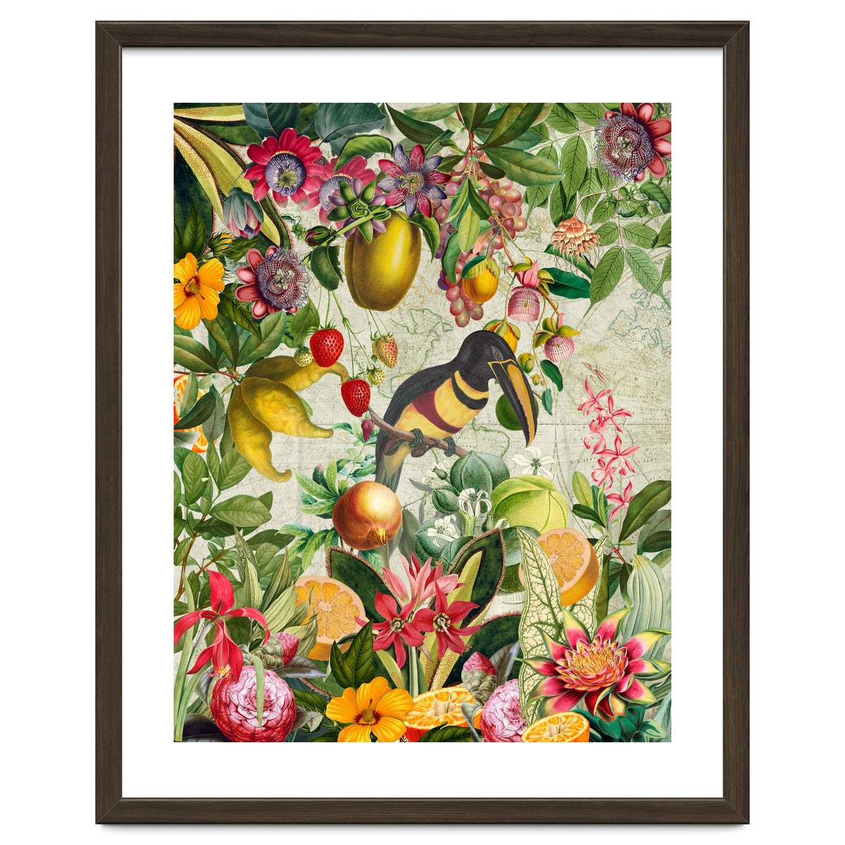 Toucan vintage jungle