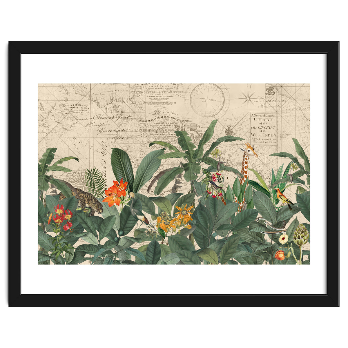 Explore The New World Wild Animals