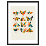 Colorful Butterflies thumbnail