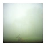 Silence of breath - 06 (Print Only) thumbnail