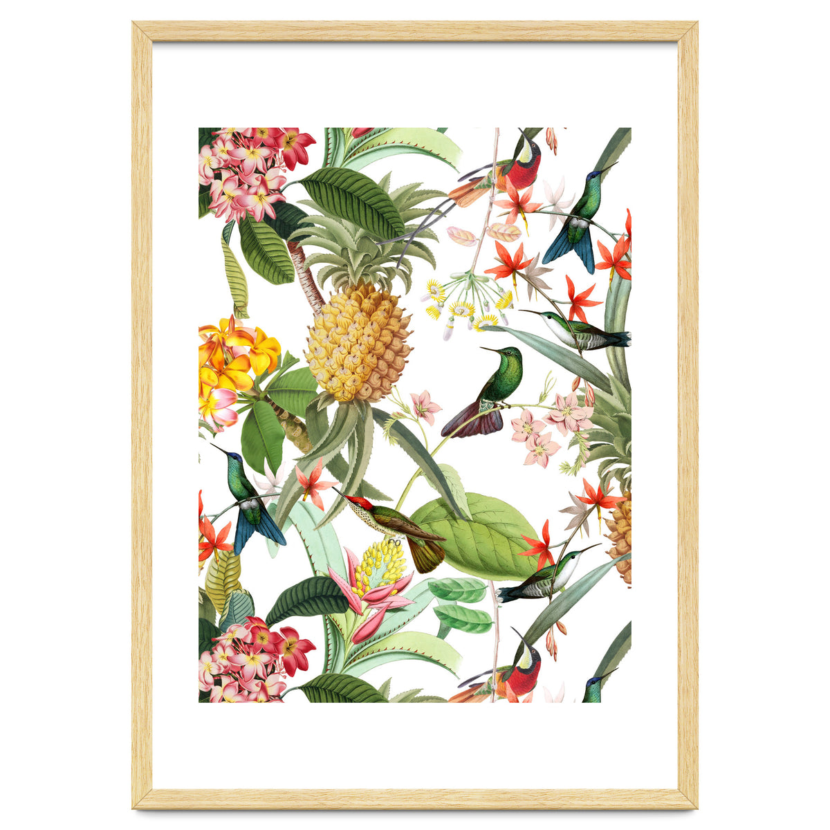 Hummingbirds in tropical Jungle