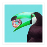 Sweet Toucan (Print Only) thumbnail