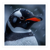 Close Up Penguin Portrait In Snowy Weather (Print Only) thumbnail
