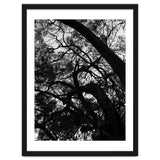 Tree Black Silhouette thumbnail