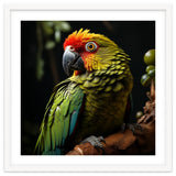 Vibrant Macaw Parrot thumbnail