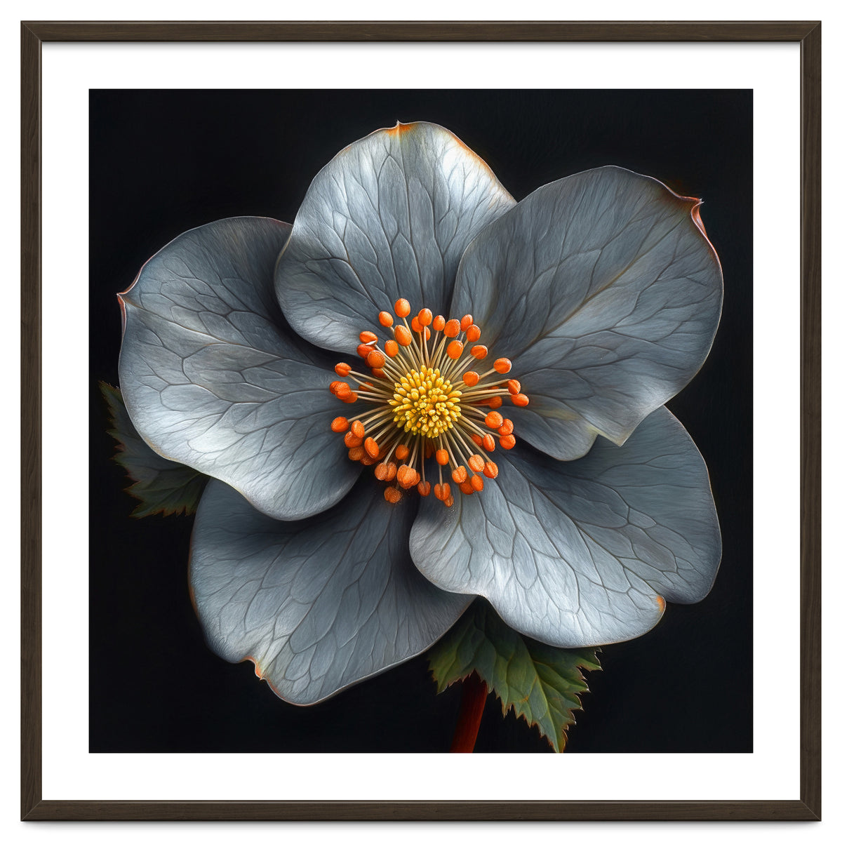 Hellebore | Silver Magic
