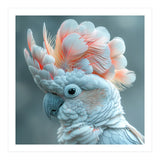 Close Up Of A White Cockatoo With Pink Crest (Print Only) thumbnail