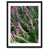 Lavender Flowers thumbnail