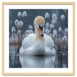 Swan Floating Serene On Calm Water thumbnail