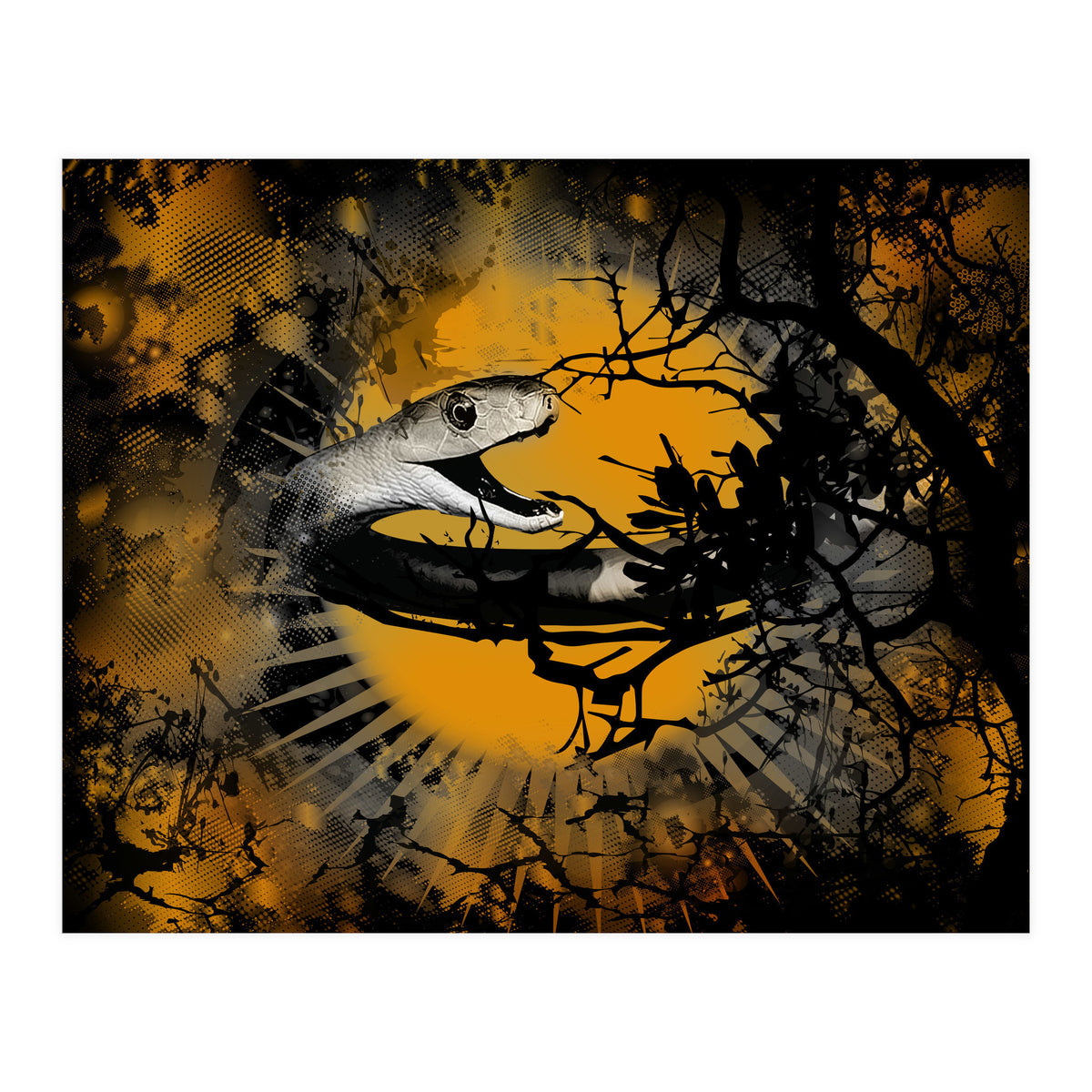 Black Mamba  (Print Only)