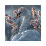 Swan Portrait Dew Drops Morning Light (Print Only) thumbnail
