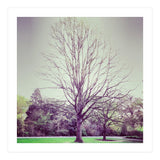 Tree Of Dreams (Print Only) thumbnail