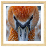 Close Up Of A Pelican's Beak With Water Droplets thumbnail