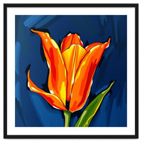 Lily Fresh
