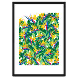 Summer Strelitzia thumbnail