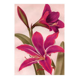Vintage Floral (Print Only) thumbnail