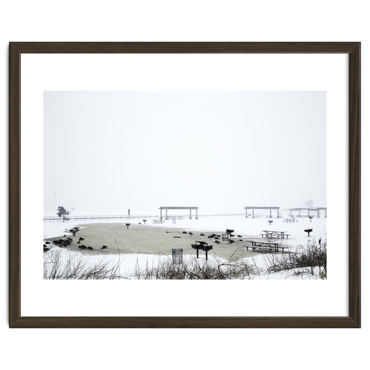 Blackbirds surrounding a frozen pond in winter