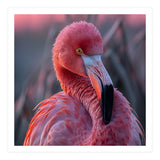 Pink Flamingo Bird Close Up Portrait (Print Only) thumbnail
