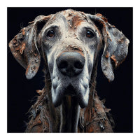 Old Dog 04 (Print Only)