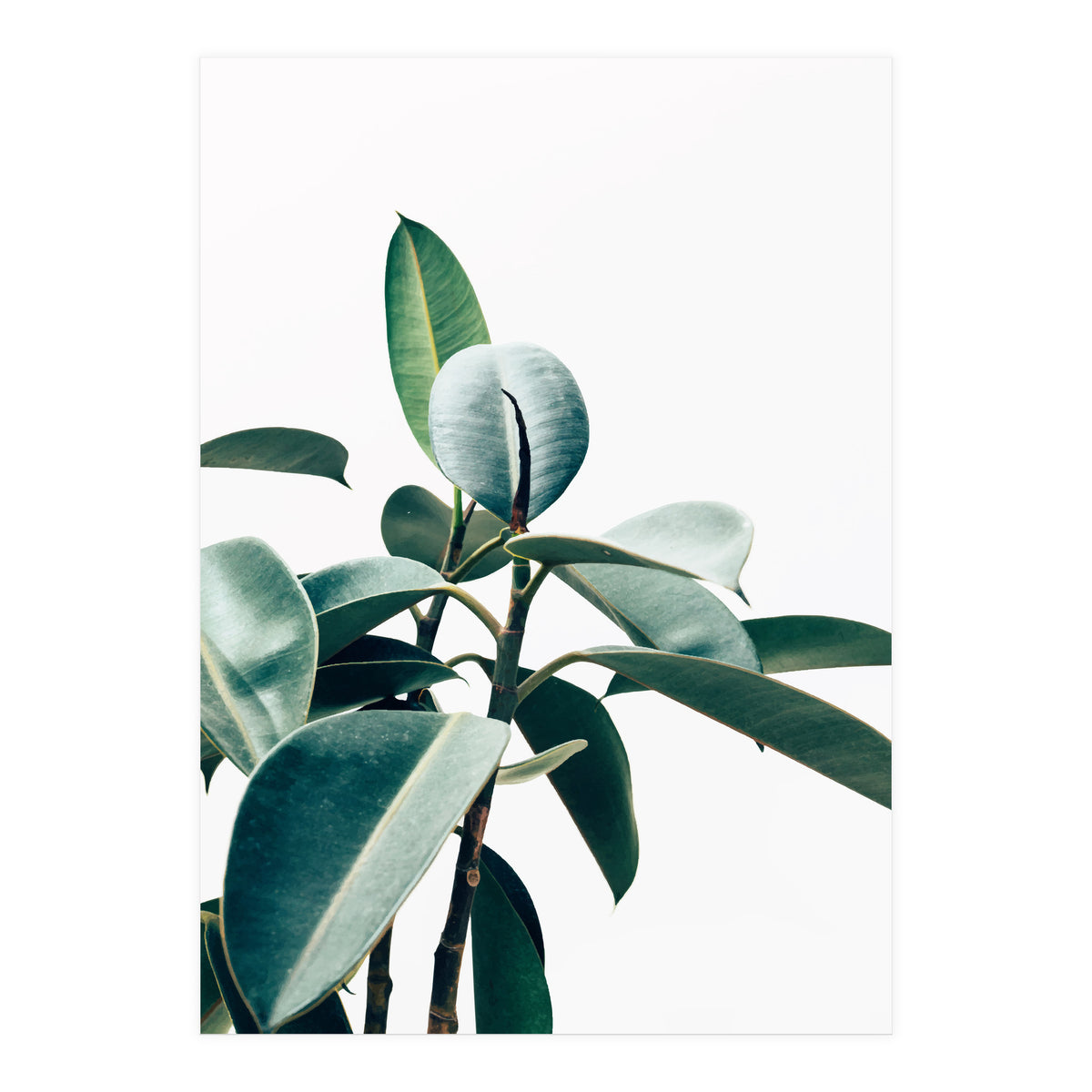 L'amour de ma vie #society6 #decor #buyart (Print Only)