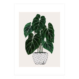 Philodendron Plant (Print Only) thumbnail
