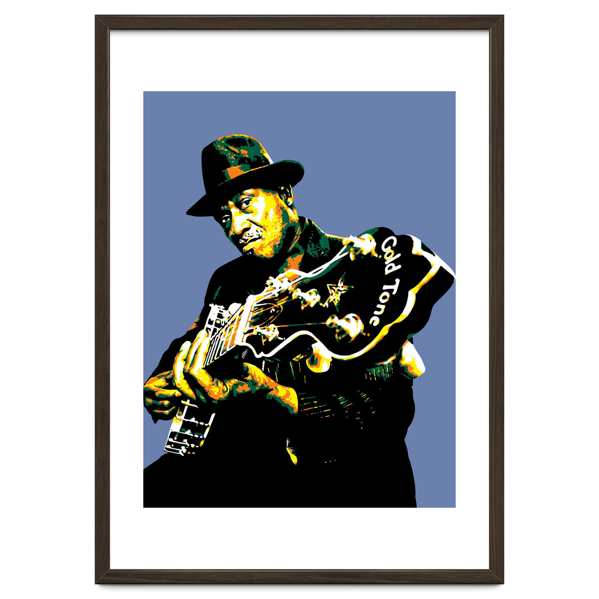 Taj Mahal American Blues Musician Legend