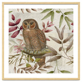 Autumn Owl thumbnail