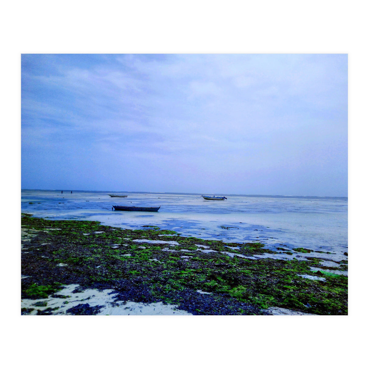 Ocean Beach At Low Tide (Print Only)