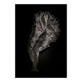 Leaves No 9 (Print Only) thumbnail