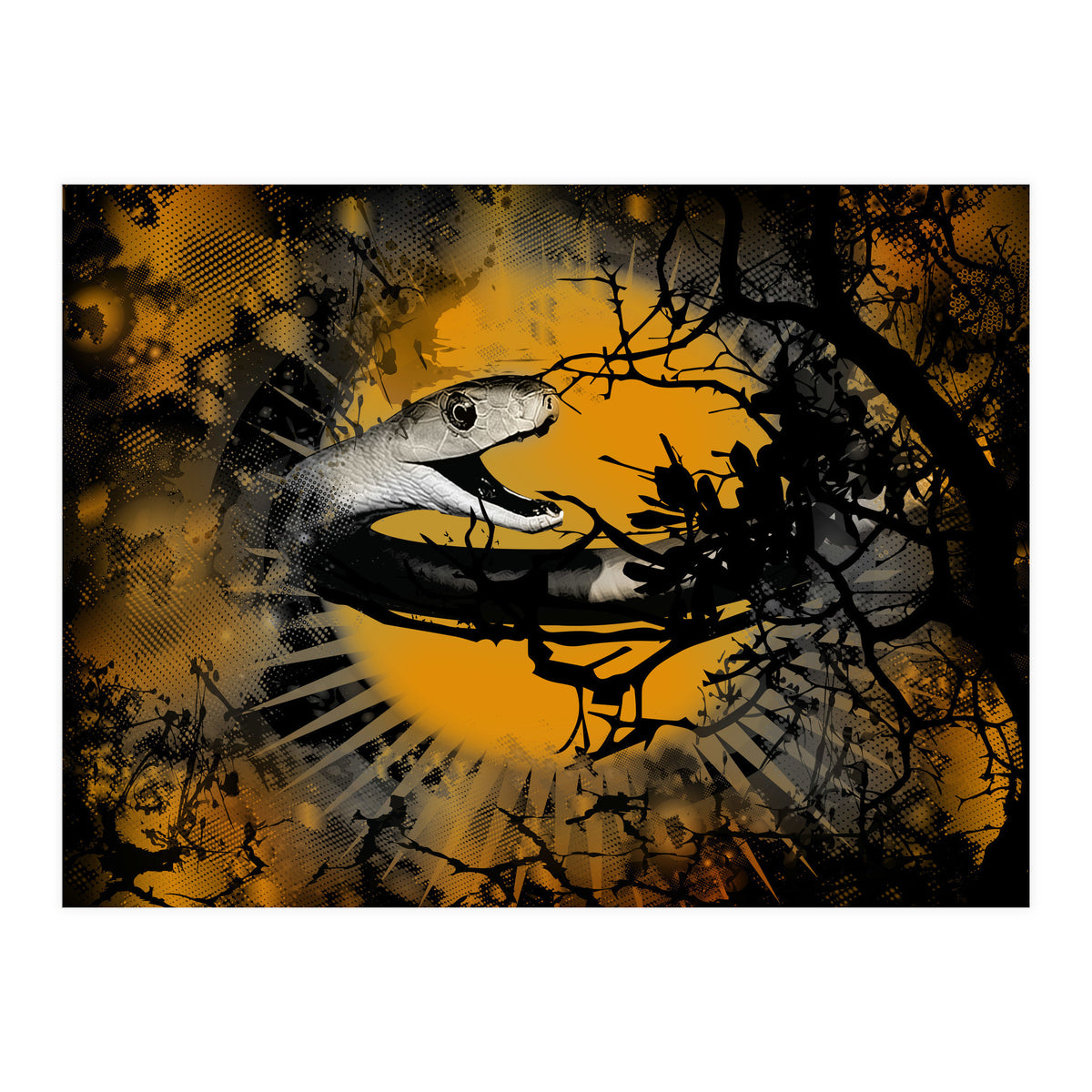 Black Mamba  (Print Only)