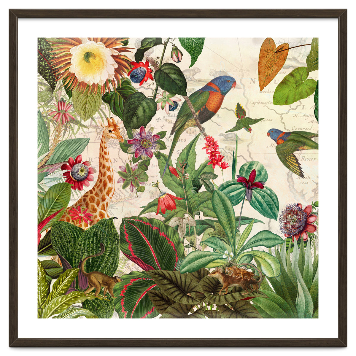 Exotic Lush Jungle And Wild Animals Landscape