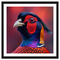 Close Up Pheasant Bird Head Detailed Feathers