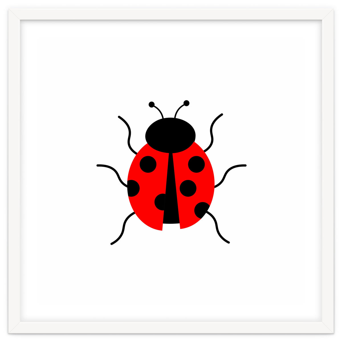 Lady Bug